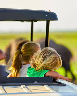 Family-Friendly Safaris