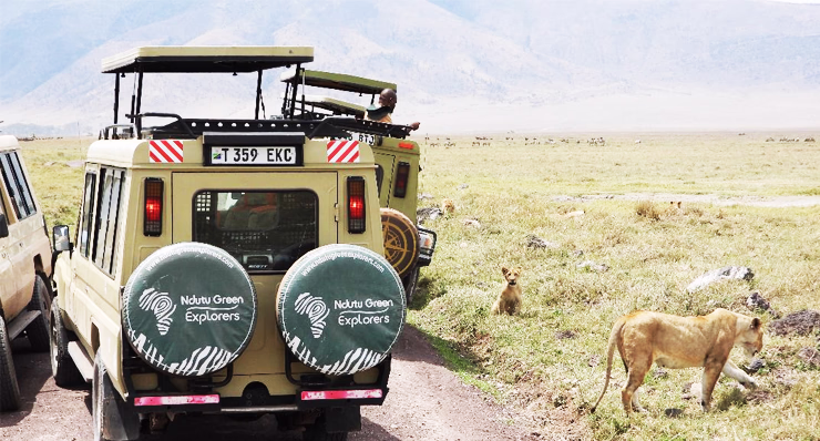 4-Day Luxury Wildlife Escape